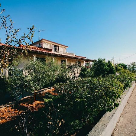 Villa Oneirama Nafplio Bagian luar foto